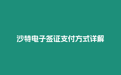 沙特電子簽證支付方式詳解