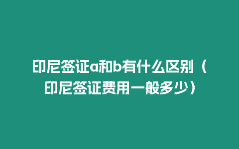 印尼簽證a和b有什么區(qū)別（印尼簽證費(fèi)用一般多少）