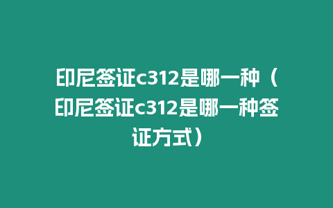 印尼簽證c312是哪一種（印尼簽證c312是哪一種簽證方式）