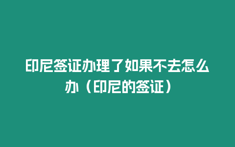 印尼簽證辦理了如果不去怎么辦（印尼的簽證）