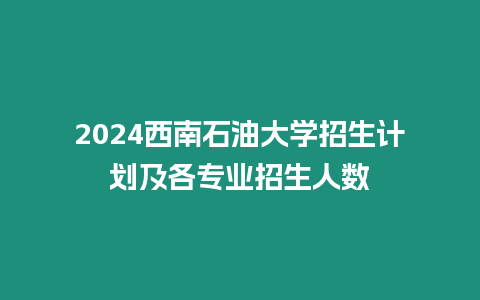 2024西南石油大學招生計劃及各專業招生人數