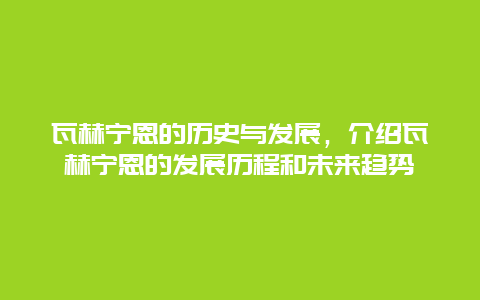 瓦赫寧恩的歷史與發(fā)展，介紹瓦赫寧恩的發(fā)展歷程和未來趨勢