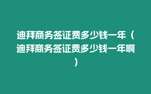 迪拜商務簽證費多少錢一年（迪拜商務簽證費多少錢一年啊）