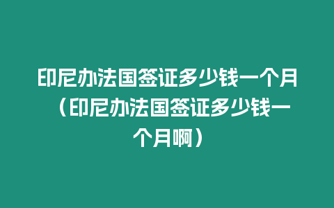 印尼辦法國簽證多少錢一個月 （印尼辦法國簽證多少錢一個月啊）