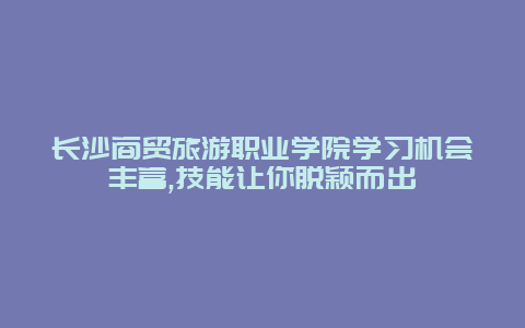 長沙商貿旅游職業學院學習機會豐富,技能讓你脫穎而出