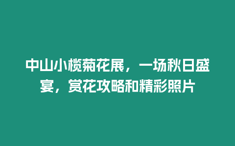 中山小欖菊花展，一場秋日盛宴，賞花攻略和精彩照片