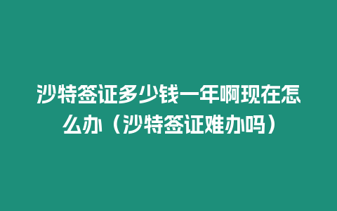 沙特簽證多少錢一年啊現在怎么辦（沙特簽證難辦嗎）