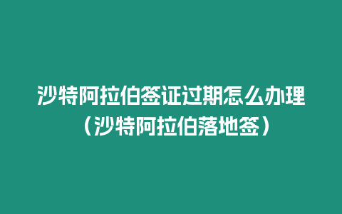 沙特阿拉伯簽證過期怎么辦理（沙特阿拉伯落地簽）