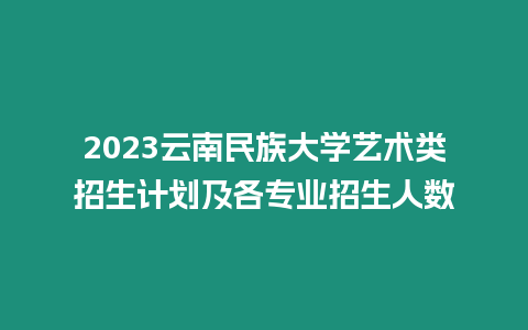 2023云南民族大學藝術類招生計劃及各專業招生人數