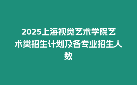 2025上海視覺藝術學院藝術類招生計劃及各專業招生人數