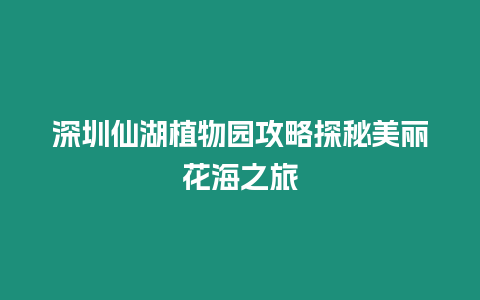 深圳仙湖植物園攻略探秘美麗花海之旅