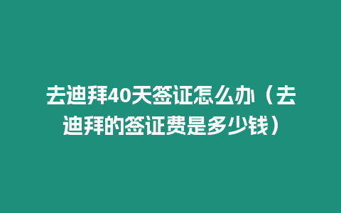 去迪拜40天簽證怎么辦（去迪拜的簽證費(fèi)是多少錢）