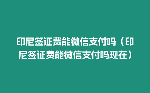 印尼簽證費(fèi)能微信支付嗎（印尼簽證費(fèi)能微信支付嗎現(xiàn)在）