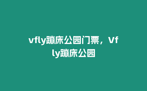 vfly蹦床公園門票，Vfly蹦床公園