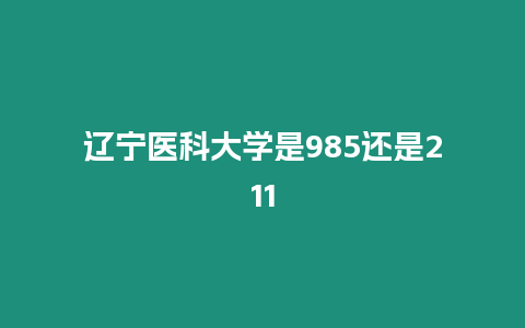 遼寧醫科大學是985還是211