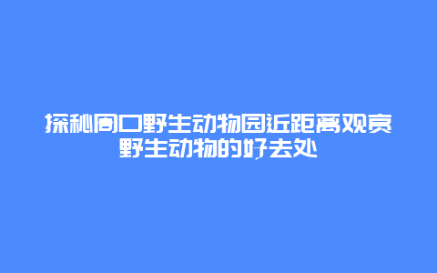 探秘周口野生動物園近距離觀賞野生動物的好去處