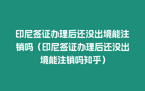 印尼簽證辦理后還沒出境能注銷嗎（印尼簽證辦理后還沒出境能注銷嗎知乎）