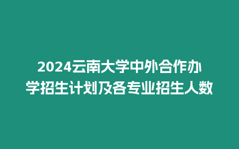 2024云南大學(xué)中外合作辦學(xué)招生計(jì)劃及各專業(yè)招生人數(shù)