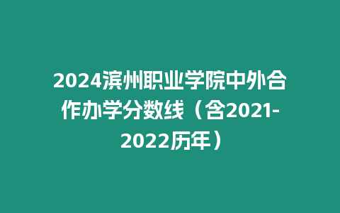 2024濱州職業(yè)學(xué)院中外合作辦學(xué)分?jǐn)?shù)線（含2021-2022歷年）