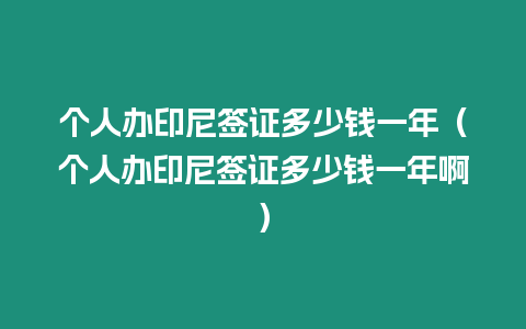 個人辦印尼簽證多少錢一年（個人辦印尼簽證多少錢一年啊）