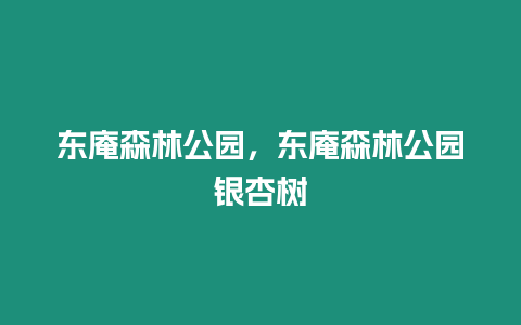 東庵森林公園，東庵森林公園銀杏樹