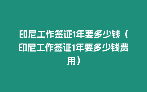 印尼工作簽證1年要多少錢（印尼工作簽證1年要多少錢費用）