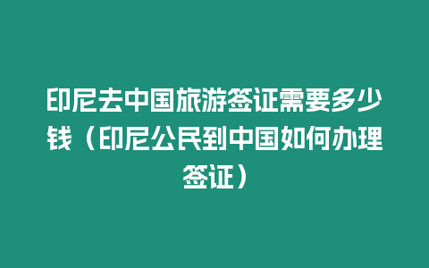 印尼去中國旅游簽證需要多少錢（印尼公民到中國如何辦理簽證）