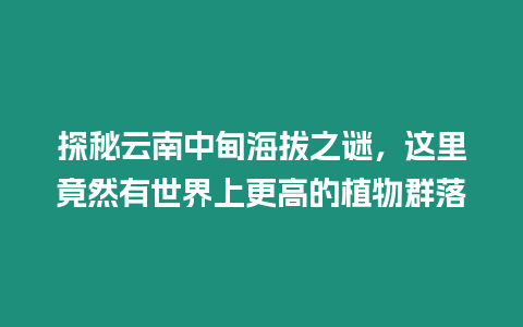 探秘云南中甸海拔之謎，這里竟然有世界上更高的植物群落