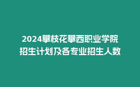 2024攀枝花攀西職業學院招生計劃及各專業招生人數