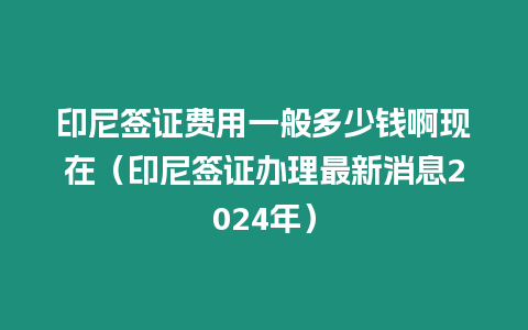 印尼簽證費用一般多少錢啊現(xiàn)在（印尼簽證辦理最新消息2024年）