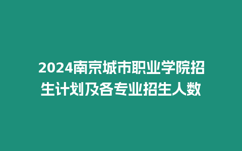 2024南京城市職業(yè)學院招生計劃及各專業(yè)招生人數(shù)