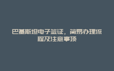 巴基斯坦電子簽證，簡易辦理流程及注意事項