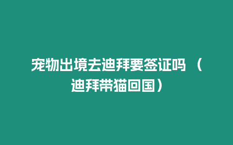 寵物出境去迪拜要簽證嗎 （迪拜帶貓回國）