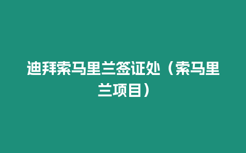 迪拜索馬里蘭簽證處（索馬里蘭項目）