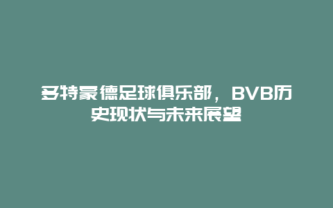 多特蒙德足球俱樂部，BVB歷史現狀與未來展望