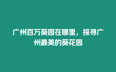 廣州百萬葵園在哪里，探尋廣州最美的葵花園