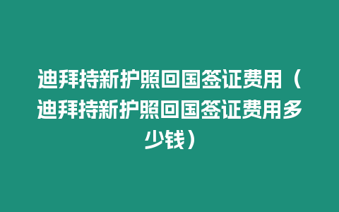 迪拜持新護照回國簽證費用（迪拜持新護照回國簽證費用多少錢）