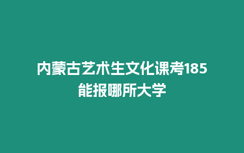 內(nèi)蒙古藝術生文化課考185能報哪所大學