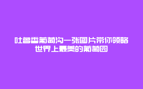 吐魯番葡萄溝一張圖片帶你領略世界上最美的葡萄園