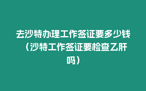 去沙特辦理工作簽證要多少錢 （沙特工作簽證要檢查乙肝嗎）