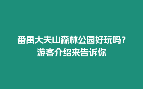 番禺大夫山森林公園好玩嗎？游客介紹來告訴你