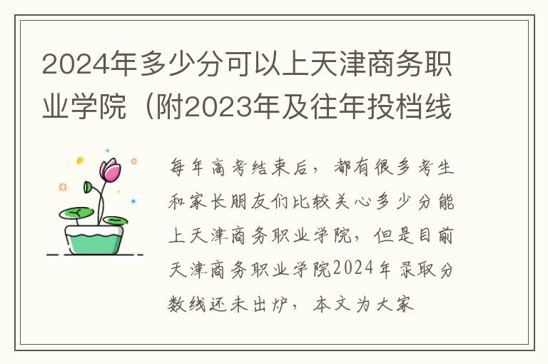 2024年多少分可以上天津商務職業學院（附2024年及往年投檔線參考）