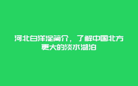 河北白洋淀簡介，了解中國北方更大的淡水湖泊