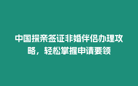 中國探親簽證非婚伴侶辦理攻略，輕松掌握申請要領