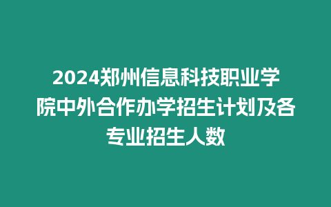 2024鄭州信息科技職業學院中外合作辦學招生計劃及各專業招生人數