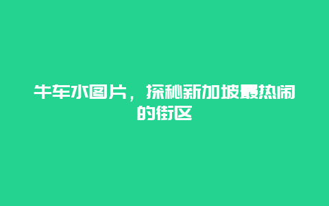 牛車水圖片，探秘新加坡最熱鬧的街區