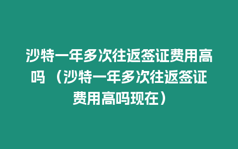 沙特一年多次往返簽證費用高嗎 （沙特一年多次往返簽證費用高嗎現在）