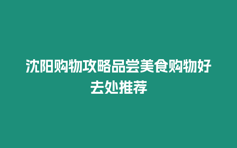 沈陽購物攻略品嘗美食購物好去處推薦