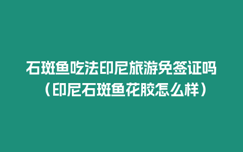 石斑魚吃法印尼旅游免簽證嗎（印尼石斑魚花膠怎么樣）