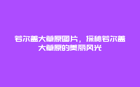 若爾蓋大草原圖片，探秘若爾蓋大草原的美麗風(fēng)光